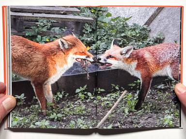 Sample page 4 for book "Alba, Carlos – Carlos Alba - I’ll Bet the Devil My Head" Sample page 4 for book "Alba, Carlos – Carlos Alba - I’ll Bet the Devil My Head"