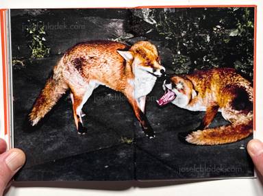 Sample page 3 for book "Alba, Carlos – Carlos Alba - I’ll Bet the Devil My Head" Sample page 3 for book "Alba, Carlos – Carlos Alba - I’ll Bet the Devil My Head"