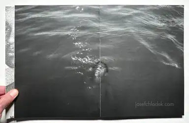 Sample page 10 for book "Protti, Tommaso – Tommaso Protti - Terra Vermelha" Sample page 10 for book "Protti, Tommaso – Tommaso Protti - Terra Vermelha"