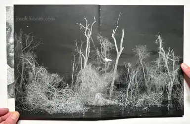 Sample page 8 for book "Protti, Tommaso – Tommaso Protti - Terra Vermelha" Sample page 8 for book "Protti, Tommaso – Tommaso Protti - Terra Vermelha"