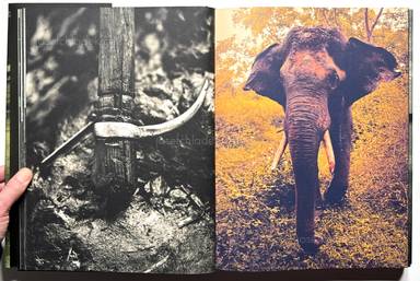 Sample page 13 for book "Bitesnich, Andreas – Andreas H. Bitesnich - India" Sample page 13 for book "Bitesnich, Andreas – Andreas H. Bitesnich - India"