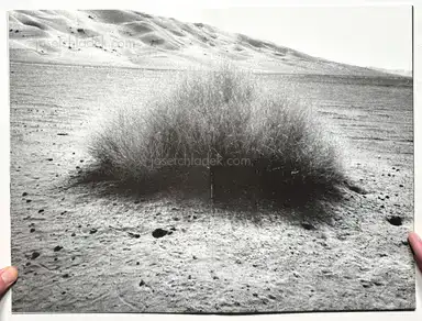 Sample page 12 for book "Kurama – Kurama - erotiCANA" Sample page 12 for book "Kurama – Kurama - erotiCANA"