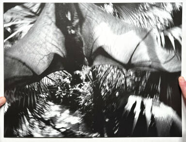 Sample page 6 for book "Kurama – Kurama - erotiCANA" Sample page 6 for book "Kurama – Kurama - erotiCANA"