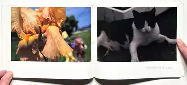 Sample page 6 for book "Kurigami, Kazumi – Kazumi Kurigami - 操上 和美 - Northern" Sample page 6 for book "Kurigami, Kazumi – Kazumi Kurigami - 操上 和美 - Northern"