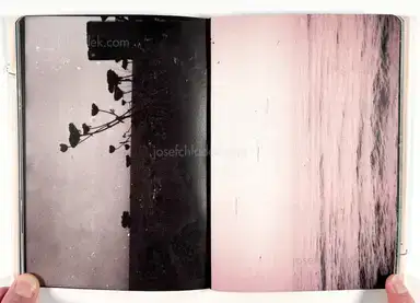 Sample page 9 for book "Renzaglia, Federico – Federico Renzaglia - Bonifica" Sample page 9 for book "Renzaglia, Federico – Federico Renzaglia - Bonifica"