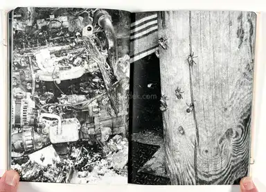 Sample page 4 for book "Renzaglia, Federico – Federico Renzaglia - Bonifica" Sample page 4 for book "Renzaglia, Federico – Federico Renzaglia - Bonifica"