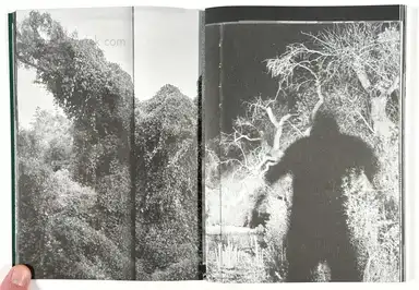 Sample page 20 for book "Rössl, Stefania and Massimo Sordi (eds.) – Stefania Rössl & Massimo Sordi (eds.) - Index Naturae" Sample page 20 for book "Rössl, Stefania and Massimo Sordi (eds.) – Stefania Rössl & Massimo Sordi (eds.) - Index Naturae"