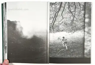 Sample page 15 for book "Rössl, Stefania and Massimo Sordi (eds.) – Stefania Rössl & Massimo Sordi (eds.) - Index Naturae" Sample page 15 for book "Rössl, Stefania and Massimo Sordi (eds.) – Stefania Rössl & Massimo Sordi (eds.) - Index Naturae"