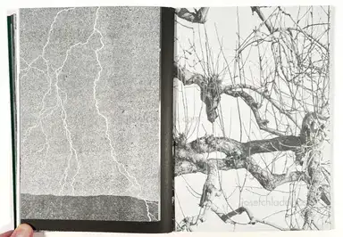 Sample page 14 for book "Rössl, Stefania and Massimo Sordi (eds.) – Stefania Rössl & Massimo Sordi (eds.) - Index Naturae" Sample page 14 for book "Rössl, Stefania and Massimo Sordi (eds.) – Stefania Rössl & Massimo Sordi (eds.) - Index Naturae"