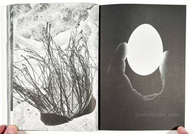 Sample page 5 for book "Rössl, Stefania and Massimo Sordi (eds.) – Stefania Rössl & Massimo Sordi (eds.) - Index Naturae" Sample page 5 for book "Rössl, Stefania and Massimo Sordi (eds.) – Stefania Rössl & Massimo Sordi (eds.) - Index Naturae"