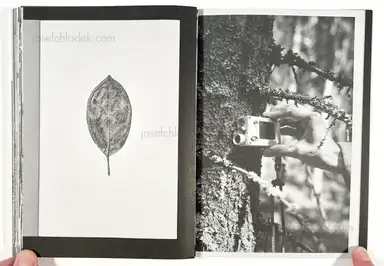 Sample page 3 for book "Rössl, Stefania and Massimo Sordi (eds.) – Stefania Rössl & Massimo Sordi (eds.) - Index Naturae" Sample page 3 for book "Rössl, Stefania and Massimo Sordi (eds.) – Stefania Rössl & Massimo Sordi (eds.) - Index Naturae"