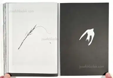 Sample page 2 for book "Rössl, Stefania and Massimo Sordi (eds.) – Stefania Rössl & Massimo Sordi (eds.) - Index Naturae" Sample page 2 for book "Rössl, Stefania and Massimo Sordi (eds.) – Stefania Rössl & Massimo Sordi (eds.) - Index Naturae"