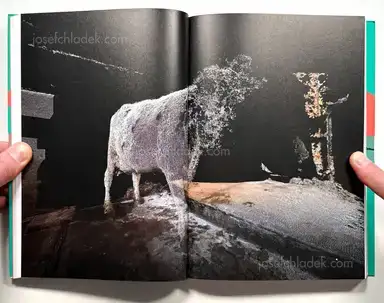 Sample page 11 for book "Futures – Futures - On the Verge" Sample page 11 for book "Futures – Futures - On the Verge"