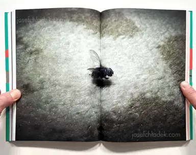 Sample page 2 for book "Futures – Futures - On the Verge" Sample page 2 for book "Futures – Futures - On the Verge"