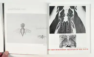 Sample page 15 for book "Export, Valie – Valie Export - Körpersplitter" Sample page 15 for book "Export, Valie – Valie Export - Körpersplitter"
