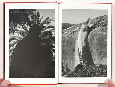 Sample page 14 for book "Boisier, Ros – Ros Boisier - Inside" Sample page 14 for book "Boisier, Ros – Ros Boisier - Inside"