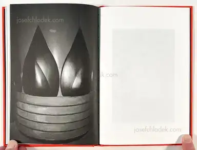 Sample page 5 for book "Boisier, Ros – Ros Boisier - Inside" Sample page 5 for book "Boisier, Ros – Ros Boisier - Inside"