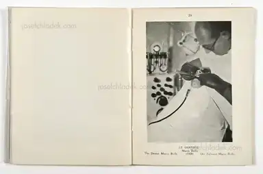 Sample page 15 for book "Krull, Germaine – Mac Orlan Pierre - Germaine Krull" Sample page 15 for book "Krull, Germaine – Mac Orlan Pierre - Germaine Krull"