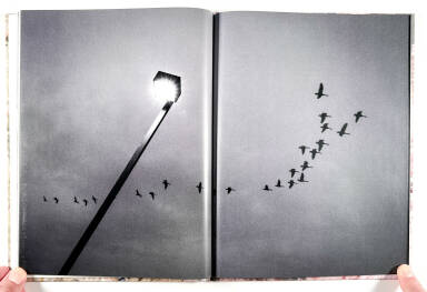 Sample page 2 for book "Rauch, Eron – Eron Rauch - Heartland" Sample page 2 for book "Rauch, Eron – Eron Rauch - Heartland"