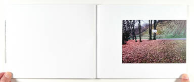 Sample page 4 for book "Radonjič, Gregor – Gregor Radonjič - Misplacements" Sample page 4 for book "Radonjič, Gregor – Gregor Radonjič - Misplacements"