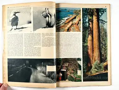 Sample page 9 for book "Schulthess, Emil & Hans Ulrich Meier – Emil Schulthess & Hans Ulrich Meier - 27000 Kilometer im Auto durch die USA" Sample page 9 for book "Schulthess, Emil & Hans Ulrich Meier – Emil Schulthess & Hans Ulrich Meier - 27000 Kilometer im Auto durch die USA"