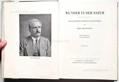 Sample page 1 for book  Karl Blossfeldt – Wunder der Natur