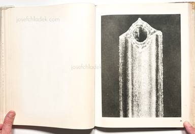 Sample page 10 for book "Blossfeldt, Karl – Karl Blossfeldt - Wunder in der Natur" Sample page 10 for book "Blossfeldt, Karl – Karl Blossfeldt - Wunder in der Natur"