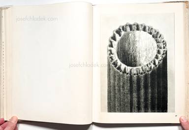 Sample page 22 for book  Karl Blossfeldt – Wunder der Natur