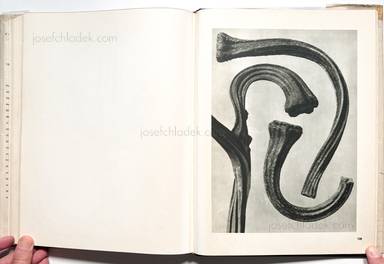Sample page 3 for book "Blossfeldt, Karl – Karl Blossfeldt - Wunder in der Natur" Sample page 3 for book "Blossfeldt, Karl – Karl Blossfeldt - Wunder in der Natur"