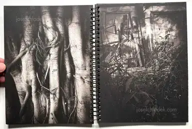 Sample page 15 for book "Anzenberger, Regina – Regina Anzenberger - Imperfections" Sample page 15 for book "Anzenberger, Regina – Regina Anzenberger - Imperfections"