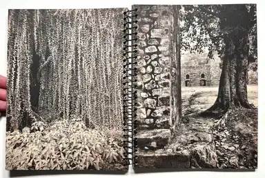 Sample page 10 for book "Anzenberger, Regina – Regina Anzenberger - Imperfections" Sample page 10 for book "Anzenberger, Regina – Regina Anzenberger - Imperfections"