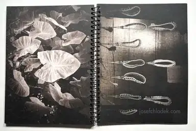 Sample page 4 for book "Anzenberger, Regina – Regina Anzenberger - Imperfections" Sample page 4 for book "Anzenberger, Regina – Regina Anzenberger - Imperfections"