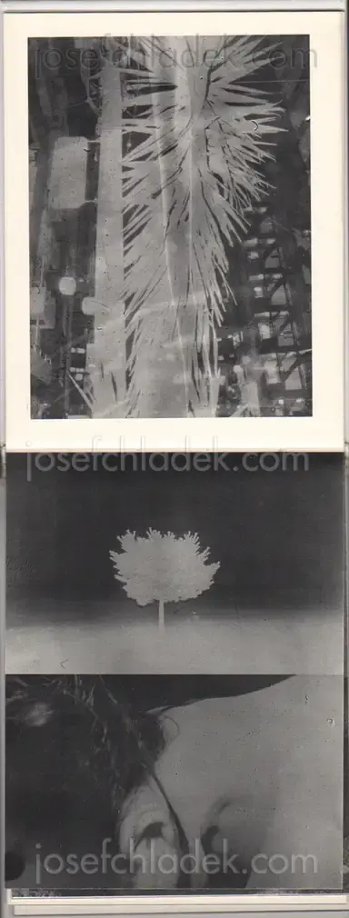 Sample page 13 for book "Yokota, Daisuke – Daisuke Yokota - Teikai (Wandering at midnight)" Sample page 13 for book "Yokota, Daisuke – Daisuke Yokota - Teikai (Wandering at midnight)"