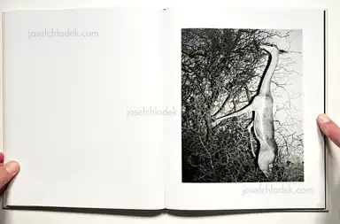 Sample page 10 for book "Plumb, Mimi – Mimi Plumb - Landfall" Sample page 10 for book "Plumb, Mimi – Mimi Plumb - Landfall"