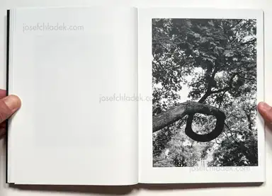 Sample page 14 for book "Zerrahn, Max – Max Zerrahn - Musical Chairs" Sample page 14 for book "Zerrahn, Max – Max Zerrahn - Musical Chairs"