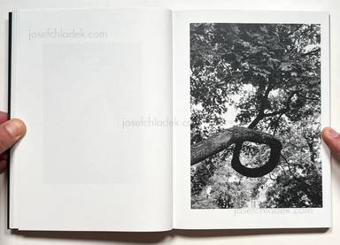 Sample page 8 for book Max Zerrahn – Musical Chairs