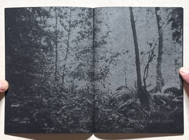 Sample page 7 for book "Reister, Christian – Christian Reister - Feathers and Leaves" Sample page 7 for book "Reister, Christian – Christian Reister - Feathers and Leaves"