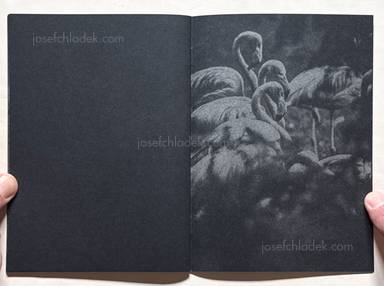 Sample page 2 for book "Reister, Christian – Christian Reister - Feathers and Leaves" Sample page 2 for book "Reister, Christian – Christian Reister - Feathers and Leaves"