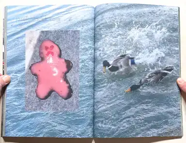 Sample page 5 for book "Krenn, Sebastian – Sebastian Krenn - Alles in meinem Kopf" Sample page 5 for book "Krenn, Sebastian – Sebastian Krenn - Alles in meinem Kopf"