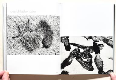 Sample page 1 for book "Ishimoto, Yasuhiro – Yasuhiro Ishimoto - Ishimoto 石元 泰博 " Sample page 1 for book "Ishimoto, Yasuhiro – Yasuhiro Ishimoto - Ishimoto 石元 泰博 "