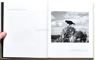 Sample page 19 for book "Simokaitis, Charlie – Charlie Simokaitis - The Crisis Tapes" Sample page 19 for book "Simokaitis, Charlie – Charlie Simokaitis - The Crisis Tapes"