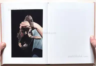 Sample page 8 for book "Clavarino, Federico – Federico Clavarino - Italia O Italia" Sample page 8 for book "Clavarino, Federico – Federico Clavarino - Italia O Italia"