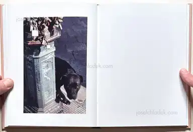 Sample page 7 for book "Clavarino, Federico – Federico Clavarino - Italia O Italia" Sample page 7 for book "Clavarino, Federico – Federico Clavarino - Italia O Italia"