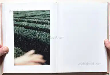 Sample page 3 for book "Clavarino, Federico – Federico Clavarino - Italia O Italia" Sample page 3 for book "Clavarino, Federico – Federico Clavarino - Italia O Italia"