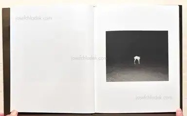 Sample page 10 for book "Genitempo, Matthew – Matthew Genitempo - Jasper" Sample page 10 for book "Genitempo, Matthew – Matthew Genitempo - Jasper"