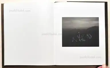 Sample page 1 for book "Genitempo, Matthew – Matthew Genitempo - Jasper" Sample page 1 for book "Genitempo, Matthew – Matthew Genitempo - Jasper"