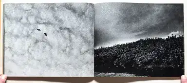 Sample page 11 for book "Ishiuchi, Miyako – Miyako Ishiuchi - Zessho, Yokosuka Story (石内 絶唱、横須賀ストーリ)" Sample page 11 for book "Ishiuchi, Miyako – Miyako Ishiuchi - Zessho, Yokosuka Story (石内 絶唱、横須賀ストーリ)"