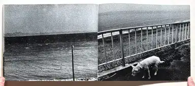 Sample page 2 for book "Ishiuchi, Miyako – Miyako Ishiuchi - Zessho, Yokosuka Story (石内 絶唱、横須賀ストーリ)" Sample page 2 for book "Ishiuchi, Miyako – Miyako Ishiuchi - Zessho, Yokosuka Story (石内 絶唱、横須賀ストーリ)"