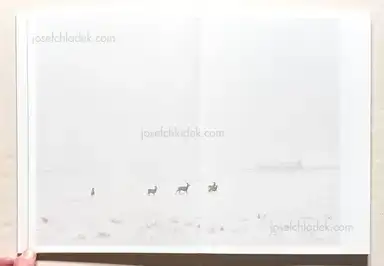 Sample page 10 for book "Boehm, Angela – Angela Boehm - Minus Thirty" Sample page 10 for book "Boehm, Angela – Angela Boehm - Minus Thirty"