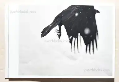 Sample page 9 for book "Boehm, Angela – Angela Boehm - Minus Thirty" Sample page 9 for book "Boehm, Angela – Angela Boehm - Minus Thirty"